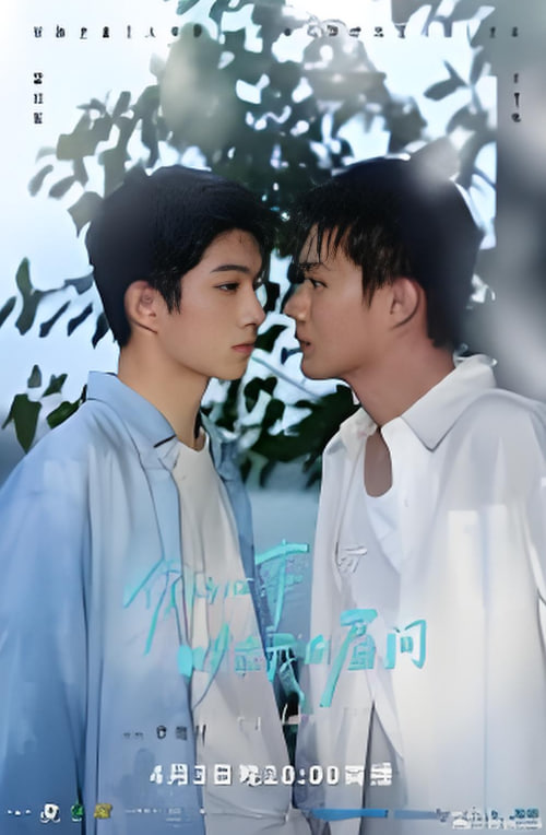 你的心事映在我的眉间——野花电影免费高清完整版