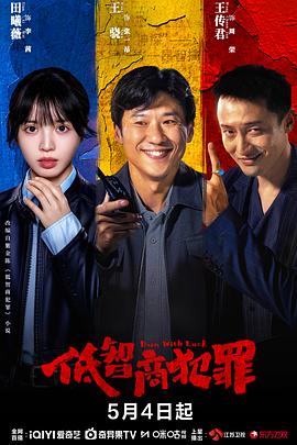 低智商犯罪——少年骇客过火海