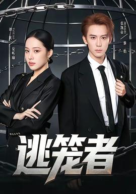 逃笼者——宜昌保卫战电视剧