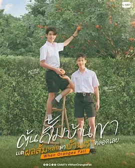 当橘子掉落时——陪你到世界的尽头