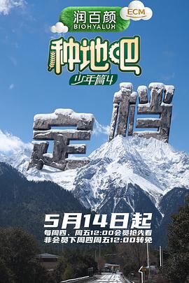 种地吧4——东北往事之黑道风云20年11集